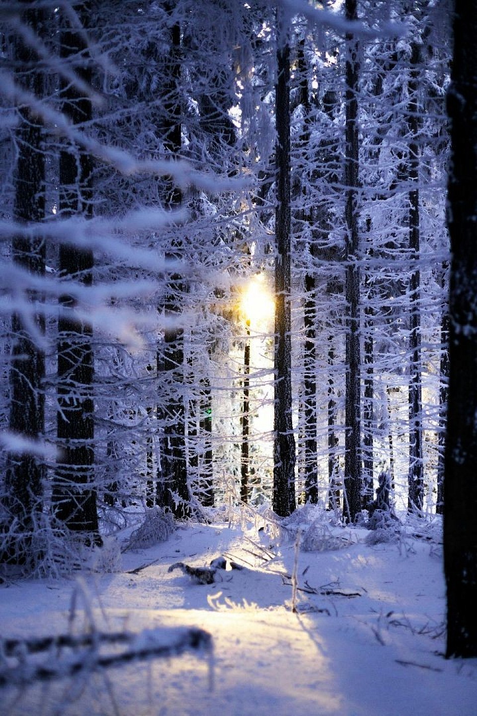 Photo by Luk Sauvage