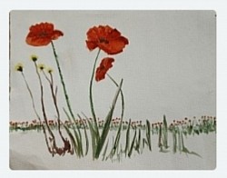 Mental Health Peer Support Worker 2017-2021-Poppies painted by Tony 2018